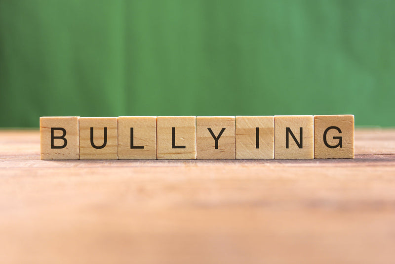 Wooden blocks spell out 'BULLYING' on a wooden surface with a blurred green background. Image titled 'The Empty Lot Next Door - Self-Defense vs. Submission.'