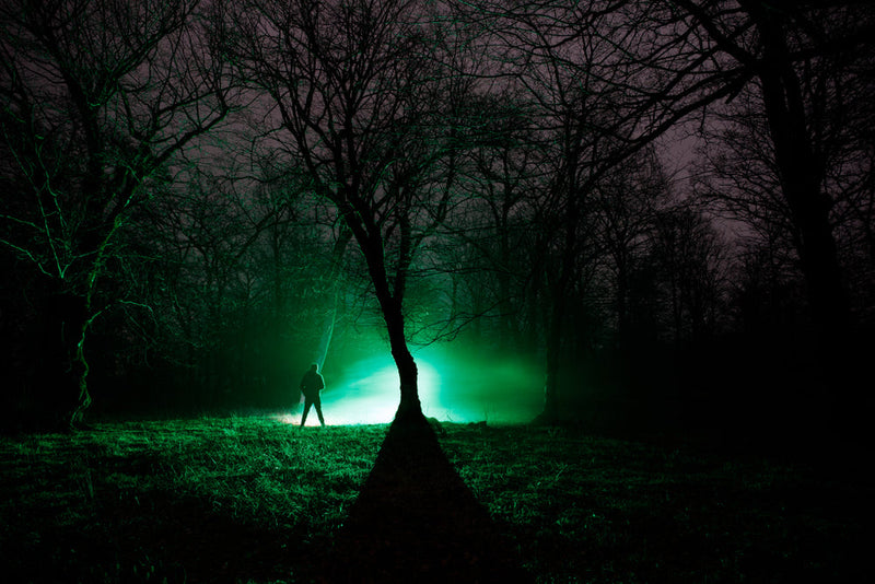 A lone figure stands in a dark forest, illuminated by a green light cutting through the trees. This image represents a moment from the journal entry 'Candle Face Victim 20: The Unsteady Path to Belief,' capturing the uncertainty and fear surrounding an en