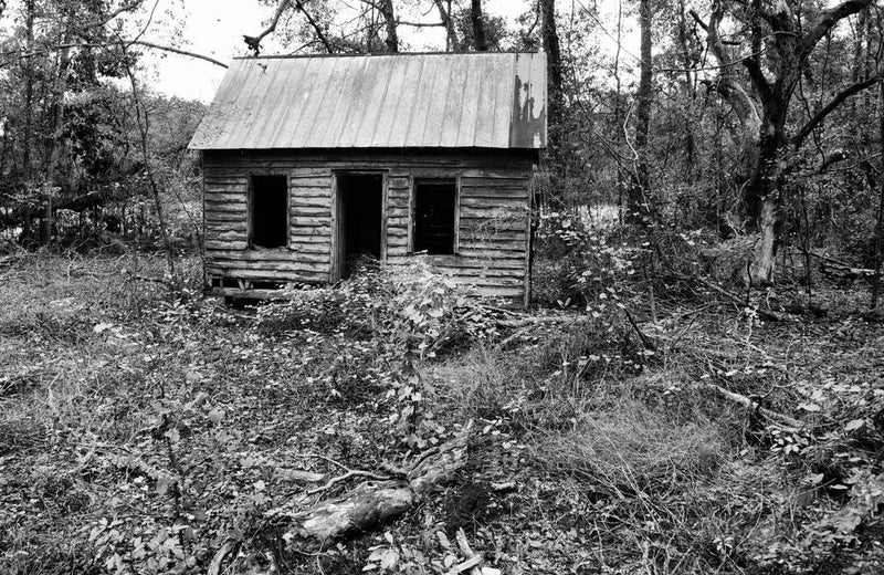 A weathered wooden shack with a rusted metal roof stands abandoned in a dense forest. The windows and door are hollow, revealing a dark and empty interior. Overgrown vegetation and fallen branches surround the structure, emphasizing its decay. The black-a