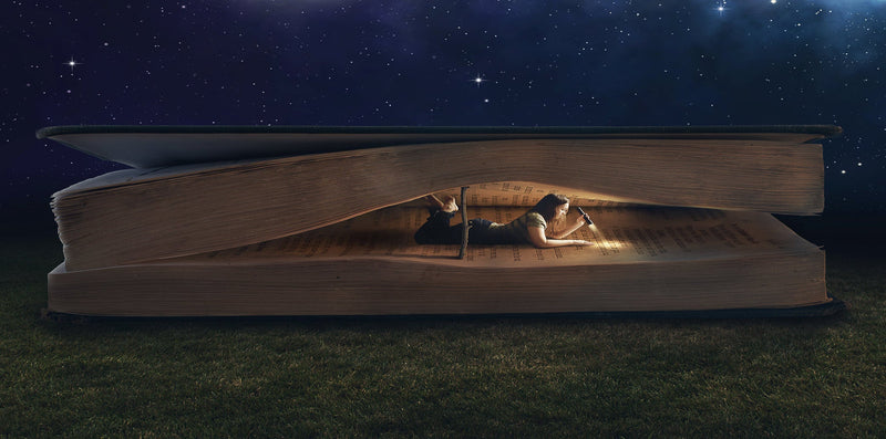 With Branching Plot Books, every story is a world waiting to be explored. A girl crawls through the pages of an open book, flashlight in hand beneath a starlit sky.