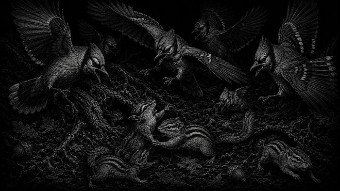 Black-and-white detailed illustration of several blue jays attacking squirrels in a dark, moody scene with intricate linework and high contrast.