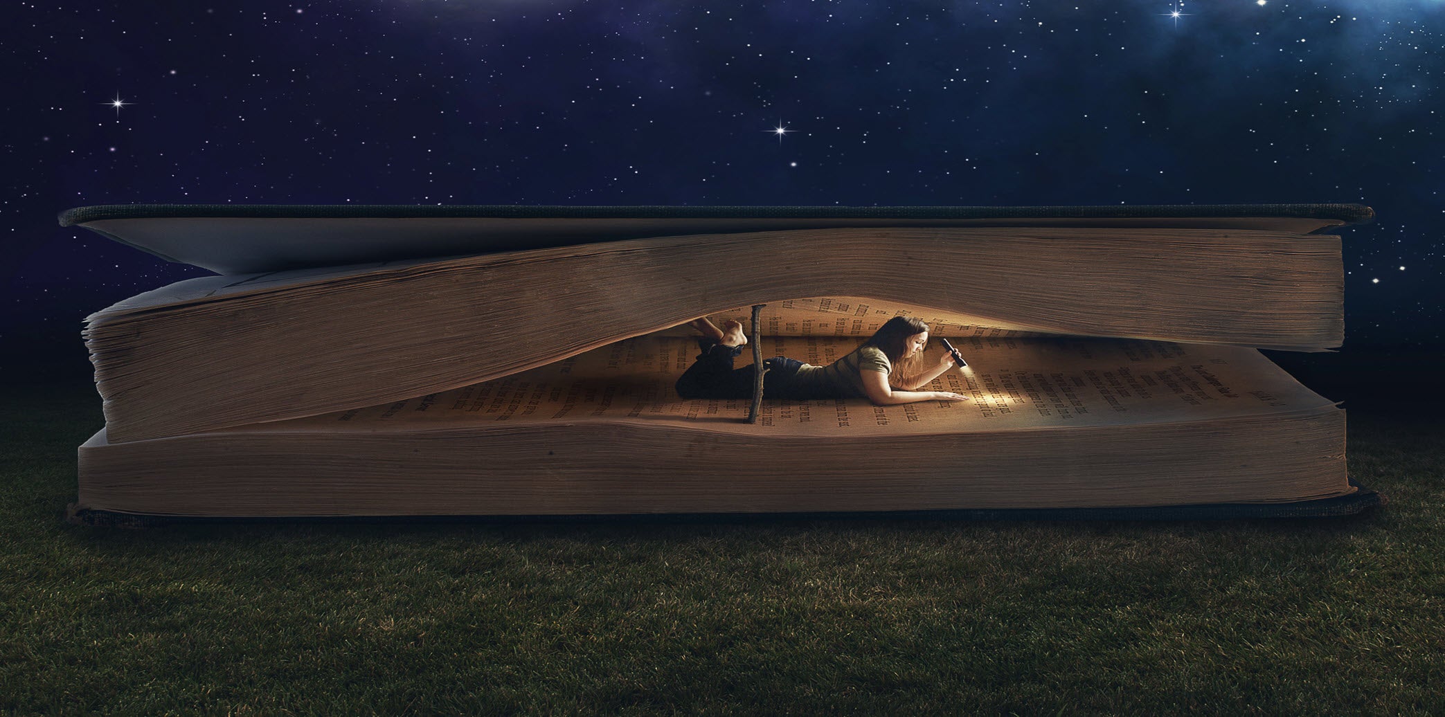 With Branching Plot Books, every story is a world waiting to be explored. A girl crawls through the pages of an open book, flashlight in hand beneath a starlit sky.